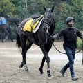 【小倉牝馬Ｓ】輸送クリアして順調なクリスマスパレード　加藤士調教師「開幕週の馬場は悪くない」