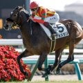 【小倉牝馬S出走馬・騎手確定】ジョスラン＆C.ルメール騎手、ココナッツブラウン＆北村友一騎手など18頭