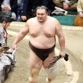 朝乃山が３敗守り優勝争い踏みとどまる　幕内最年少20歳の藤ノ川との初顔合わせ制し９勝目