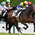 【若駒S】全姉は名牝ディアドラ イベントホライゾンがデビュー2連勝なるか