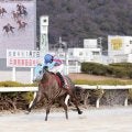 姫路競馬　報知新聞社賞　兵庫クイーンセレクションは２年目の１７歳、小谷哲平騎乗のジューンキートスが重賞初制覇
