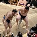 横綱大の里が勝ち越し８勝目！　土俵際ヒヤリも高安下し３連敗から２連勝