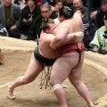 新大関安青錦が単独トップに　熱海富士との２敗対決制す　阿炎は大関琴桜に敗れ３敗後退　１差で追う３敗は６人　豊昇龍は４敗目