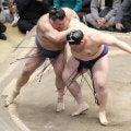 横綱・大の里が１２日目での勝ち越し…元大関・高安に苦戦も寄り切り