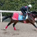 【ＡＪＣＣ】９歳馬エヒトが５２秒１の好時計　８か月半ぶり復帰戦へ順調　陣営「体も若々しいですね」