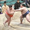 東十両３枚目・藤凌駕が８勝目　勝ち越しに「とりあえず一安心だが、少しでも幕内に近づけるように」
