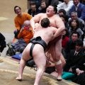 優勝争いどうなる？２敗の安青錦を３敗の霧島と平幕５人が追う残り３日　安青錦は大関横綱戦続く