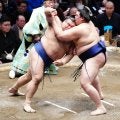 大の里が初土俵から17場所連続勝ち越し　高安に劇勝「求められる数字ではないが２桁白星を」