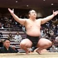 炎鵬が勝てば幕下優勝→2023年夏場所以来の関取に復帰　各段優勝の行方