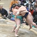 大関・琴桜が勝ち越し「自分の相撲に集中した」　２敗だった阿炎を退ける