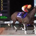 【船橋競馬】報知グランプリＣはグロリアムンディが南関移籍後重賞初制覇！圧倒的支持に応える