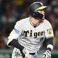 阪神・佐藤輝明は左打者不利の甲子園でなぜ40本塁打も打てたのか T−岡田が技術的視点で読み解く「覚醒の真相」
