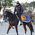 【小倉牝馬Ｓ】ダイワメジャーを父に持つボンドガールは８枠１６番　３連勝中のレディーヴァリューは７枠１５番