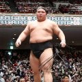 西前頭３枚目の伯乃富士が初場所13日目から休場　４場所連続金星も12日目終えて５勝７敗