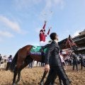 フォーエバーヤングにまた勲章　米競馬の「モーメントオブザイヤー」に日本馬初のＢＣクラシック制覇が輝く