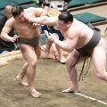 横綱のしこ名を受け継ぐ旭富士、７戦全勝　同部屋で高校後輩の蒼富士との優勝決定戦へ
