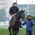 【注目馬動向】東京スポーツ杯２歳Ｓ２着のゾロアストロは、鞍上ハマーハンセン騎手できさらぎ賞へ