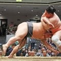 伯乃富士が休場　左足親指付け根を負傷「約４週間の安静加療を要する見込み」