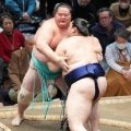 横綱大の里が３連勝　大関琴桜寄り切りで下し９勝目　７場所連続２桁星に王手