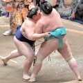 大の里が９勝目　琴桜に勝ち、残り２日間に横綱の意地を見せたい