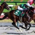【根岸S想定馬・騎手】ビダーヤ、エンペラーワケアなど23頭