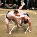 横綱と大関の番付が逆転したような一番だった　安青錦の新大関Ｖ確率は極めて高い…元大関・琴風の目
