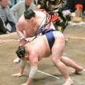 熱海富士、阿炎との３敗対決制し静岡県勢初の賜杯へ１差守った　八角理事長評価「よく踏み込んでいる」