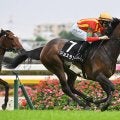 【今日の注目ポイント】小倉牝馬Sでジョスランが重賞初制覇を狙う