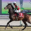 【競馬予想】AJCCも明け４歳馬が優勢　不気味なのはここに照準を合わせてきた「いぶし銀」