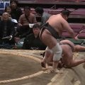 「あー」「おー」館内が“二度”騒然 取組決着でハプニング発生 力士の見事な“受け身”にも注目