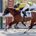 【京都３Ｒ・３歳新馬】米国産馬ホーナー初陣Ｖ　復帰後初勝利の浜中俊騎手「一個勝つと気分が違ってきますからね」