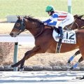 【中山３Ｒ・３歳新馬】サマーゲールが桁違いの末脚で差し切りデビュー勝ち　キング騎手２連勝「さらに良くなる」