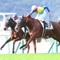 【小倉６Ｒ】Ｇ１馬の半弟ボンドマティーニが力強く抜け出す　北村友一騎手「長く脚を使えるのが持ち味だと…」