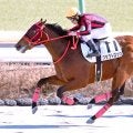 発馬後手→前残りをまくって快勝！「終わったと思った」「化け物なの？」無傷２連勝のクラウトロックにネット衝撃