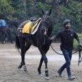 土曜小倉競馬場の注目激走馬…小倉１１Ｒ小倉牝馬ステークス・Ｇ３