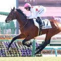【中山５Ｒ・３歳未勝利】キング騎手早くも今日３勝目　ミッキークイーンの子ミッキーファルコンで未勝利勝ち