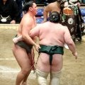 新十両昇進濃厚　聖白鵬改め寿之富士が５勝目「結果的に勝てて良かった。うれしい」