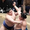 若ノ勝が11勝目で十両優勝に王手「考えていた通りに体が動いた」会心の勝利