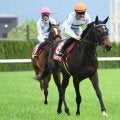 【AJCC予想】前走1着馬が不在で混戦ムード漂う一戦！ 前走の大敗で精神的なダメージが心配な軽視したい人気馬