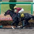【プロキオンS予想】スピードが問われる舞台で大型馬は不利!? 前走圧勝も過去傾向から評価を下げたい1頭とは