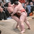 熱海富士が３敗同士の一番に勝ち、優勝の可能性を残す　霧島に勝ち、千秋楽に賭ける