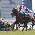 【若駒S】ショウナンハヤナミがデビュー2連勝…大外一気の差し切りV