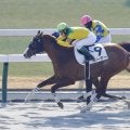 【新馬/京都3R】外国産ホーナーがデビューV…上位人気総崩れの展開