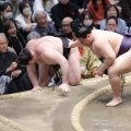 連日金星の義ノ富士が７勝７敗　千秋楽にデビューから11場所連続勝ち越しかける