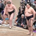 安青錦が大の里に敗れ３敗に後退　熱海富士と並ぶ　４敗の大の里、霧島、阿炎、欧勝海にも優勝の可能性が残る