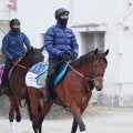 【ＡＪＣＣ】７歳馬ドゥラドーレスが３・０倍の１番人気　ショウヘイ、ジョバンニの４歳馬が続く