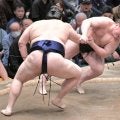 安青錦が３敗に後退　大の里に敗れる　３敗同士の対戦に勝利した熱海富士と並び、千秋楽に新大関Ｖ賭ける