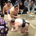 大の里が１０勝目　安青錦を３敗に引きずり下ろす　わずかながら優勝の可能性残す