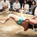 １７８キロの琴桜が吹っ飛ぶ　横綱豊昇龍の豪快な上手投げに場内どよめく