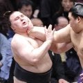 優勝どうなる？３敗の安青錦と熱海富士が優位も最大５人の決定戦になる可能性あり